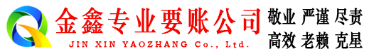 盐湖金鑫追账公司